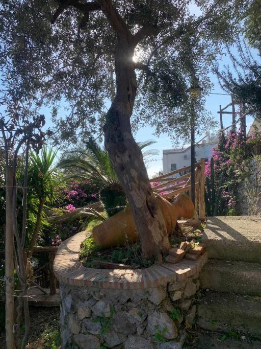 Villa Hermosa Costiera Amalfitana المظهر الخارجي الصورة