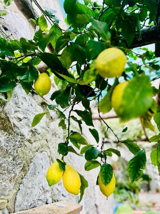 Villa Hermosa Costiera Amalfitana المظهر الخارجي الصورة